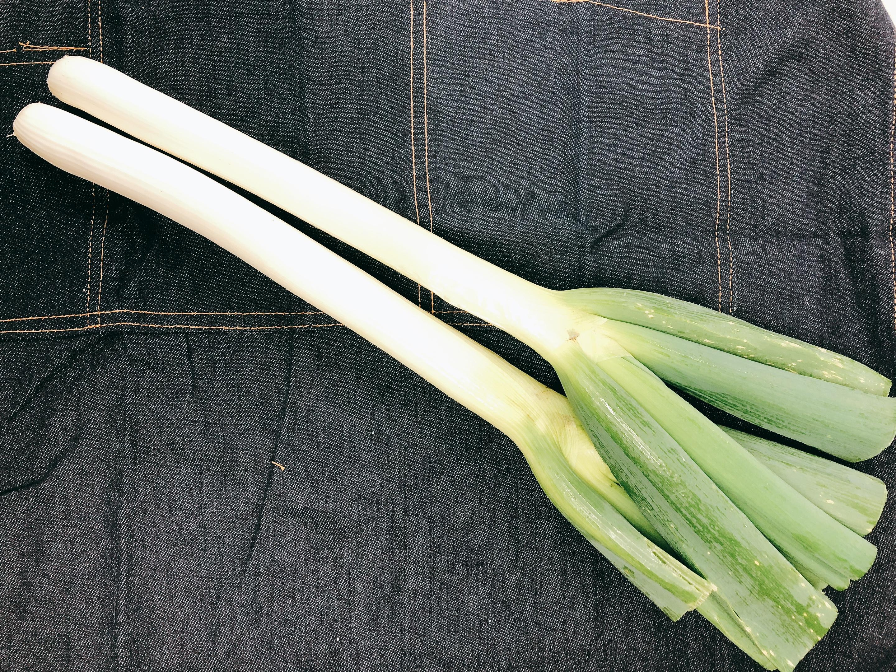 やさいバス 白ネギ