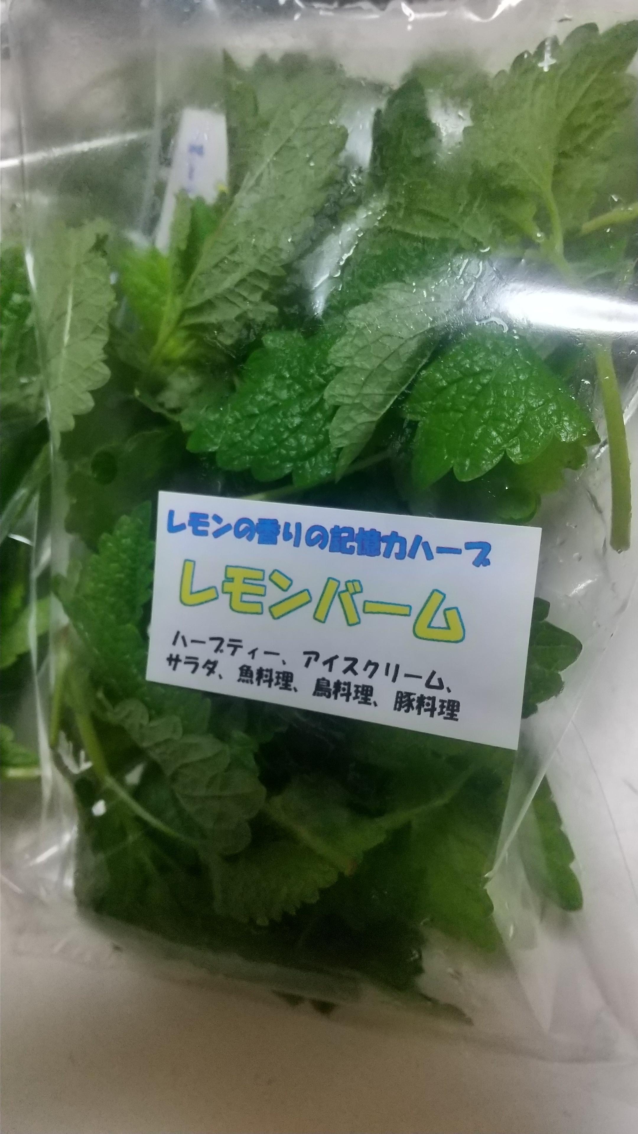 やさいバス 小売店さま向け 清々しいレモンの香りがするハーブ レモンバームｇ 5袋