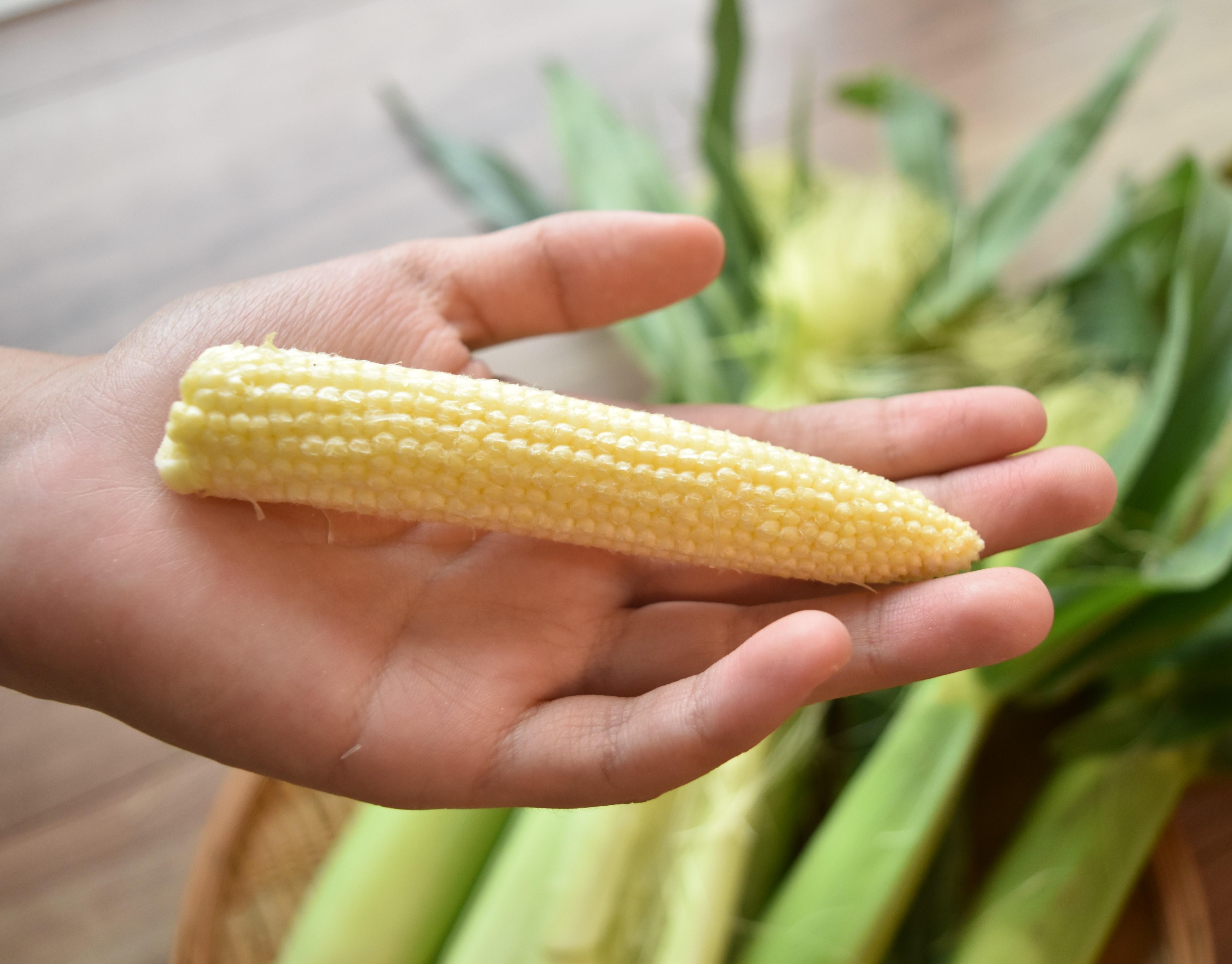 やさいバス ヤングコーン ベビーコーン 1袋10本入り リエビン市場 房総スカイファーム