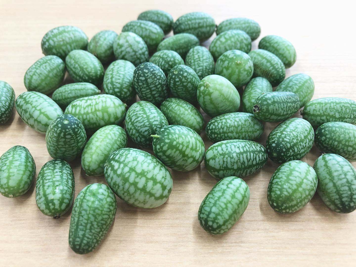 やさいバス 清流の里梓川のマイクロガーキン1袋 100g入 1箱に100袋まで同梱可