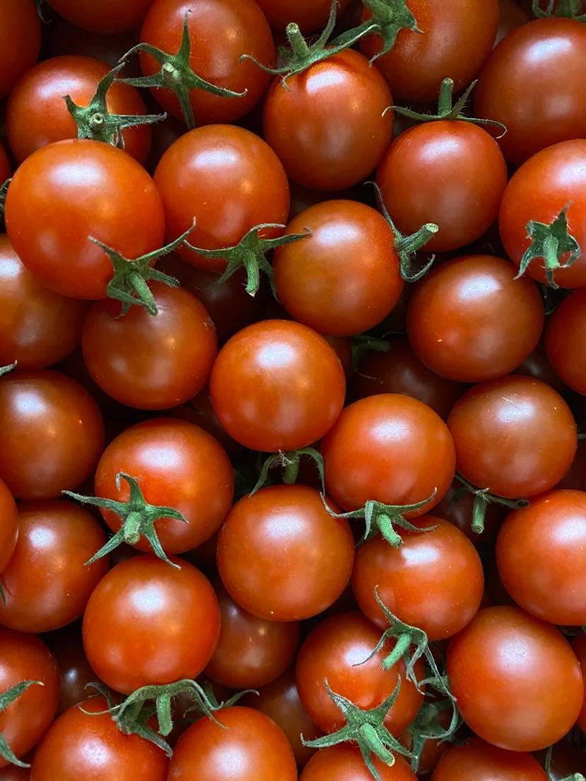 やさいバス お買得 最短納期 松下農園のミニトマト 千果 3 箱 ケース