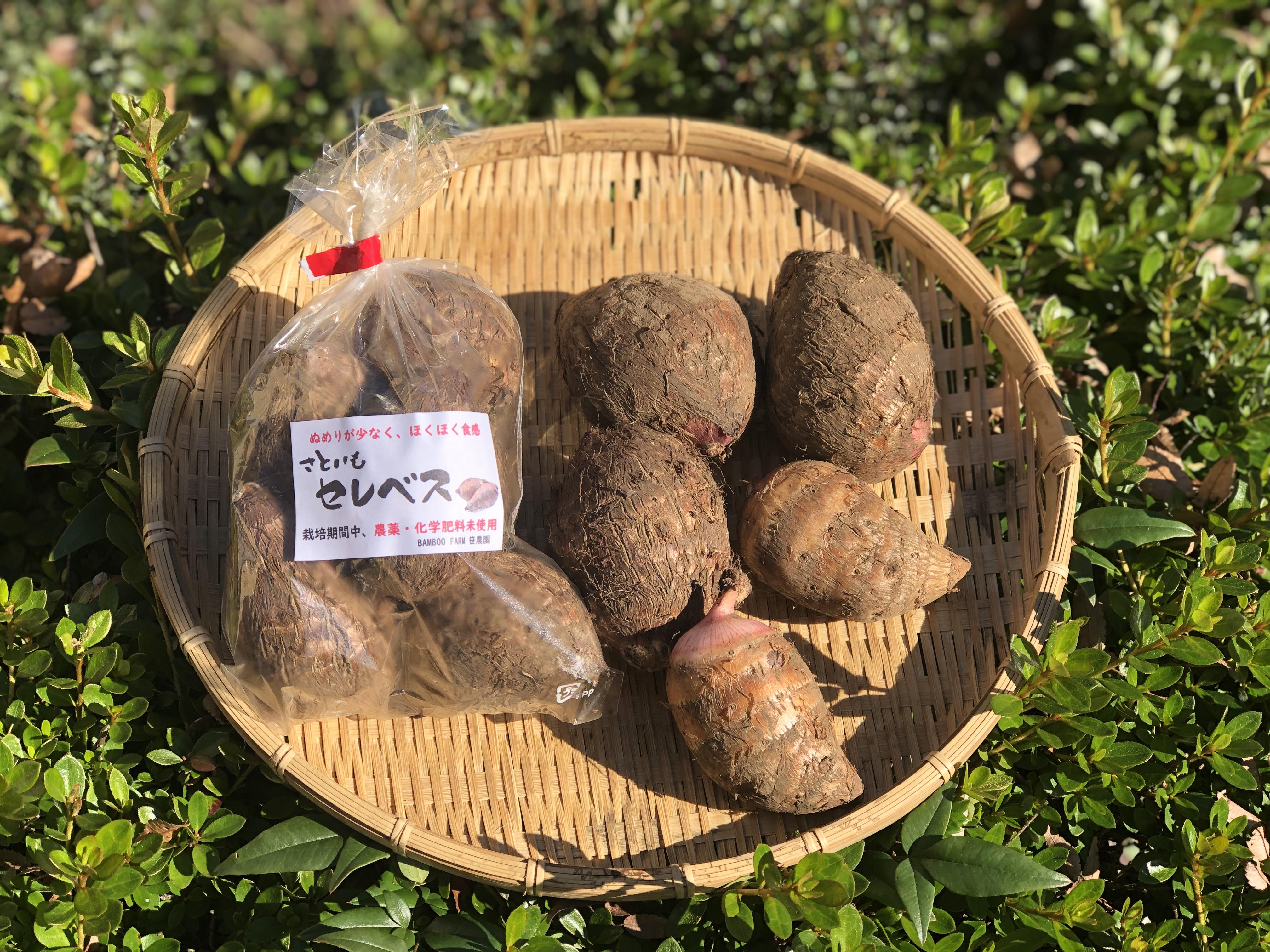 やさいバス 里芋 セレベス 無農薬 無化学肥料